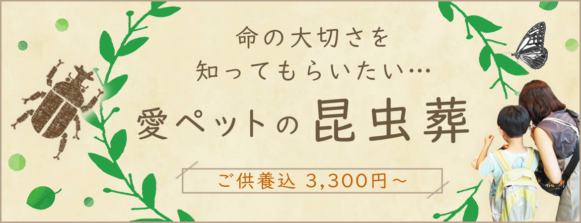 愛ペットの昆虫葬