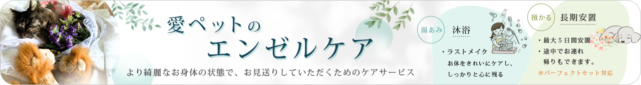 エンゼルケア