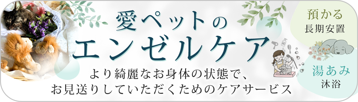 エンゼルケア