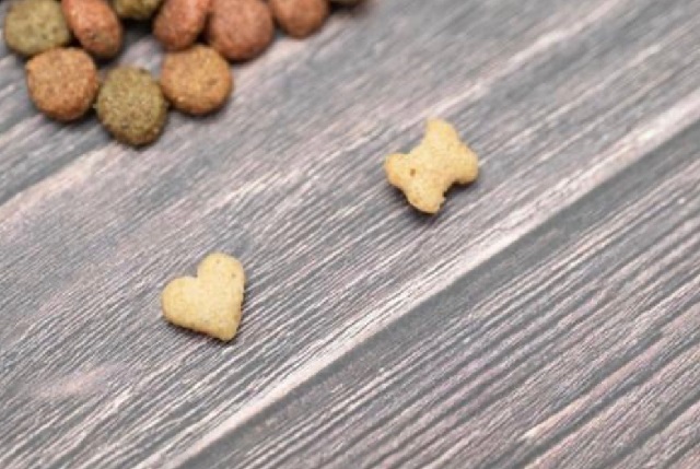 ペットが残したフードやオヤツの扱い方